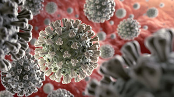 COVID-19 Update Image of virus